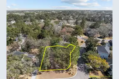 501 Chimney Bluff Drive, Mount Pleasant, SC 29464 - Photo 1