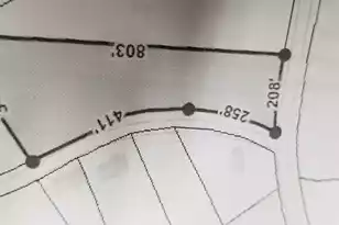 0 Shady Side Rd, Hemingway, SC 29554 - Photo 1