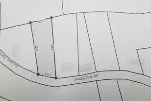 00 Shady Side Rd, Hemingway, SC 29554 - Photo 1