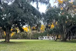 5355 Old Military Rd, Adams Run, SC 29426 - Photo 1