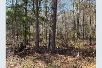 1443 Orangeburg Road, Summerville, SC 29483 - Photo 1