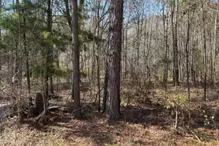 1443 Orangeburg Rd, Summerville, SC 29483 - Photo 1