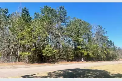 0 Kirkland, Orangeburg, SC 29118 - Photo 1