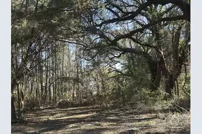 1641 Cuffy Lane, Charleston, SC 29412 - Photo 1