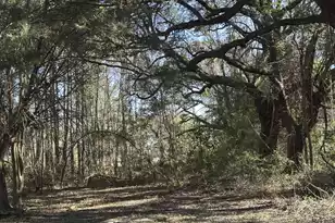 1641 Cuffy Ln, Charleston, SC 29412 - Photo 1