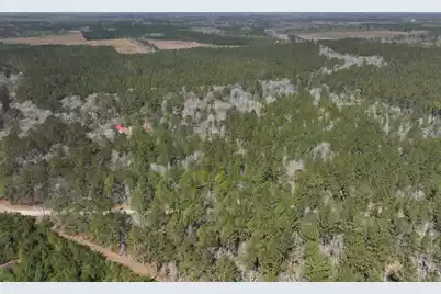 0 Log Cabin Lane, Smoaks, SC 29481 - Photo 1