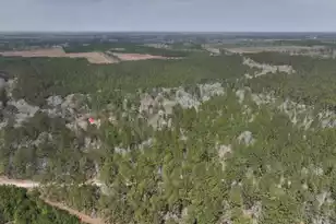 0 Log Cabin Ln, Smoaks, SC 29481 - Photo 1