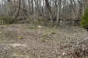 238 Clemson Dr, Cordova, SC 29039 - Photo 1