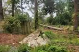 105 Wanda Ave, Summerville, SC 29485 - Photo 1