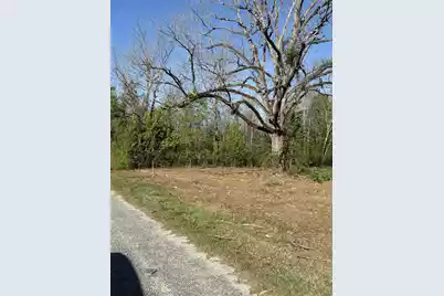 146 Gum Hill Road, Dorchester, SC 29437 - Photo 1