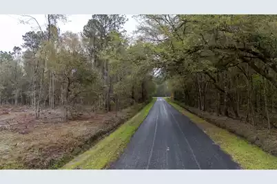 0 Red Root Road, Ruffin, SC 29475 - Photo 1