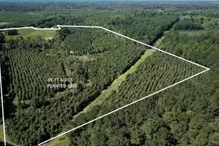 00 Fralix, Smoaks, SC 29481 - Photo 1