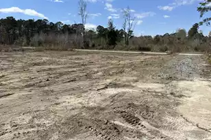 79 Herndon Street #Tract 4, Walterboro, SC 29488 - Photo 1