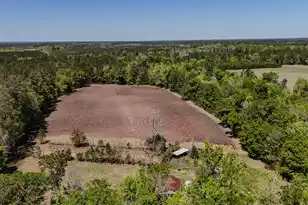 1296 Risher Mountain Rd, Walterboro, SC 29488 - Photo 1