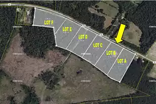 0 B Bells Hwy, Walterboro, SC 29488 - Photo 1