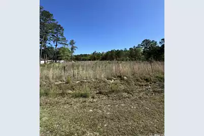 726 Spring Pond Road, Bonneau, SC 29431 - Photo 1