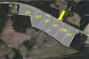 0 C Bells Hwy, Walterboro, SC 29488 - Photo 1