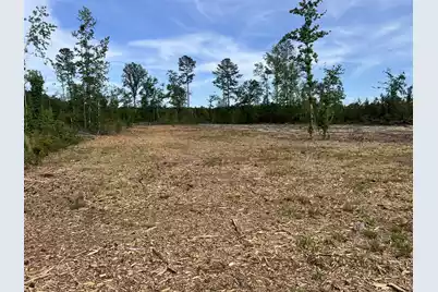 71 Herndon Street #Tract B-6, Walterboro, SC 29488 - Photo 1