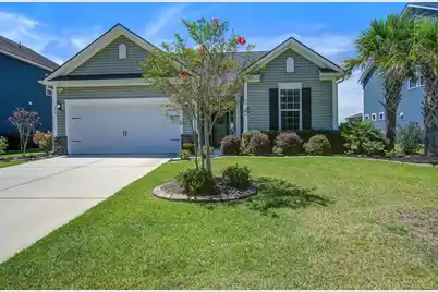 234 Basket Grass Lane, Summerville, SC 29486 - Photo 1