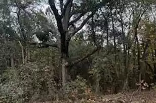 Ebh A4-1A Wendell Ln #Ebh A4-1A, Wagener, SC 29164 - Photo 1