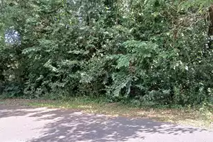 828 5th Ave, Charleston, SC 29407 - Photo 1