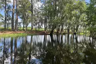 148 Castlebury Rd, Walterboro, SC 29488 - Photo 1