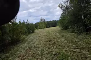 00 Flatwoods Rd, Reevesville, SC 29471 - Photo 1