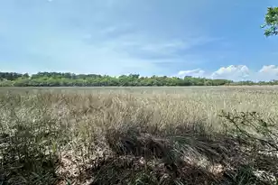 50 Bermuda Inlet Dr, Saint Helena Island, SC 29920 - Photo 1