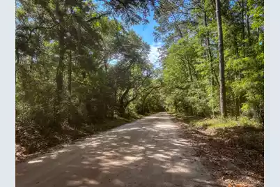 2109 Leadenwah Drive, Wadmalaw Island, SC 29487 - Photo 1