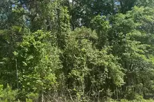 0 Ridgelake Cir, Saint Matthews, SC 29135 - Photo 1