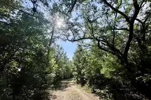 678 Meria Dr, Georgetown, SC 29440 - Photo 1