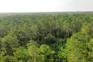 0 Red Oak Rd, Cottageville, SC 29435 - Photo 1