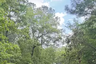 470 Weans Rd, Walterboro, SC 29488 - Photo 1