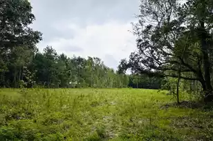 55 Seabrook Center Rd, Seabrook, SC 29940 - Photo 1