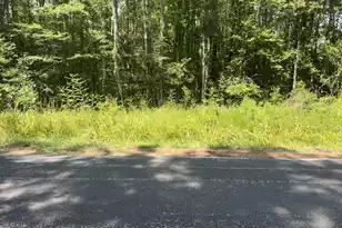 3670 Prices Bridge Ln, Walterboro, SC 29488 - Photo 1