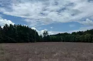 Lot B-1 Reeves Farm Rd, Saint George, SC 29477 - Photo 1