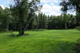 0 Rowdy Ln, Green Pond, SC 29446 - Photo 1