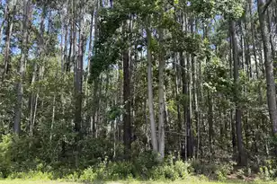 110 Rayland Circle, Walterboro, SC 29488 - Photo 1