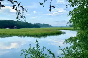 6613 Bloody Point Rd, Wadmalaw Island, SC 29487 - Photo 1
