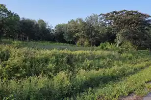 163 Moonlight Dr, Eutawville, SC 29048 - Photo 1