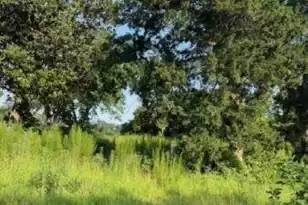 1096 Buchanan Rd, Manning, SC 29102 - Photo 1