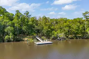299 Tilly Pt Wy, Green Pond, SC 29446 - Photo 1