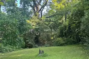 0 Oak St, Orangeburg, SC 29115 - Photo 1