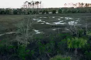 1105 Ship Builder St, Charleston, SC 29492 - Photo 1