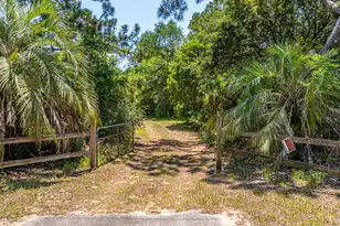 6589 Bears Bluff Rd, Wadmalaw Island, SC 29487 - Photo 1