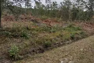 000 Rehoboth Rd, Cottageville, SC 29435 - Photo 1