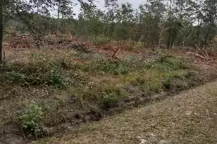 001 Rehoboth Rd, Cottageville, SC 29435 - Photo 1