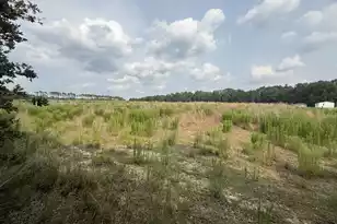 Qaf C2 Rainbow Dr #Qaf C2, Wagener, SC 29164 - Photo 1