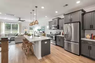 450 Duskywing Dr, Goose Creek, SC 29445 - Photo 1