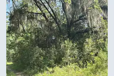 5856 Martin Street #Lot 2, Ravenel, SC 29470 - Photo 1